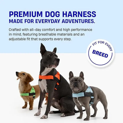 Dog Friendly Co. Walking Harness - Easy-To-Fit No-Pull Design, Chafe-Resistant Lightweight Straps, Adjustable Straps for Perfect Fit - Secure Walks, All-Day Wear Comfort - Simple Clip for All Dogs