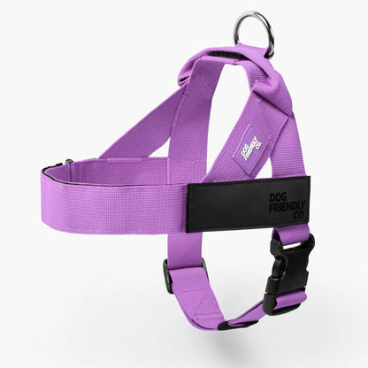 Dog Friendly Co. Walking Harness - Easy-To-Fit No-Pull Design, Chafe-Resistant Lightweight Straps, Adjustable Straps for Perfect Fit - Secure Walks, All-Day Wear Comfort - Simple Clip for All Dogs