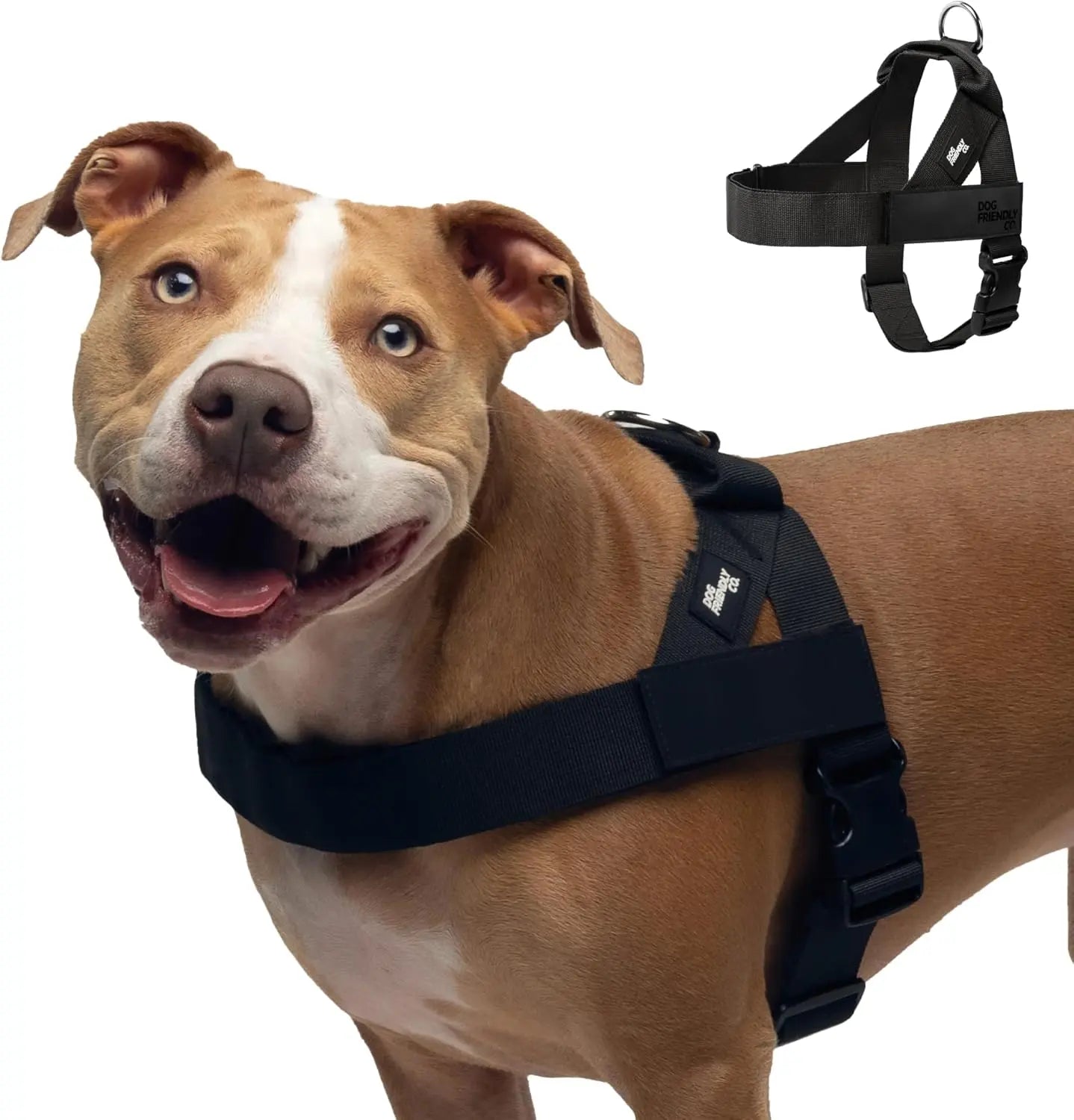 Dog Friendly Co. Walking Harness - Easy-To-Fit No-Pull Design, Chafe-Resistant Lightweight Straps, Adjustable Straps for Perfect Fit - Secure Walks, All-Day Wear Comfort - Simple Clip for All Dogs