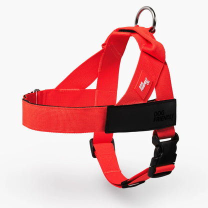 Dog Friendly Co. Walking Harness - Easy-To-Fit No-Pull Design, Chafe-Resistant Lightweight Straps, Adjustable Straps for Perfect Fit - Secure Walks, All-Day Wear Comfort - Simple Clip for All Dogs