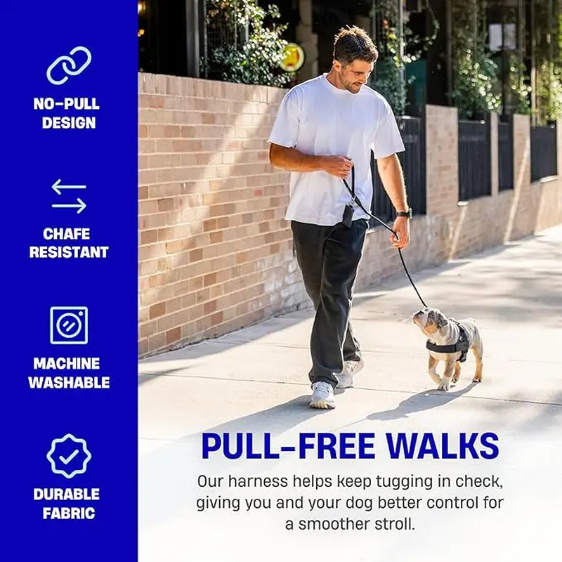 Dog Friendly Co. Walking Harness - Easy-To-Fit No-Pull Design, Chafe-Resistant Lightweight Straps, Adjustable Straps for Perfect Fit - Secure Walks, All-Day Wear Comfort - Simple Clip for All Dogs