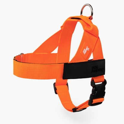 Dog Friendly Co. Walking Harness - Easy-To-Fit No-Pull Design, Chafe-Resistant Lightweight Straps, Adjustable Straps for Perfect Fit - Secure Walks, All-Day Wear Comfort - Simple Clip for All Dogs