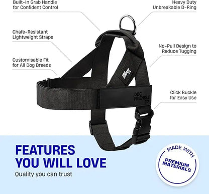 Dog Friendly Co. Walking Harness - Easy-To-Fit No-Pull Design, Chafe-Resistant Lightweight Straps, Adjustable Straps for Perfect Fit - Secure Walks, All-Day Wear Comfort - Simple Clip for All Dogs